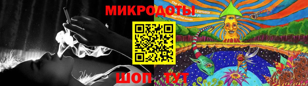 Галлюциногенные грибы Psilocybine cubensis Дмитров